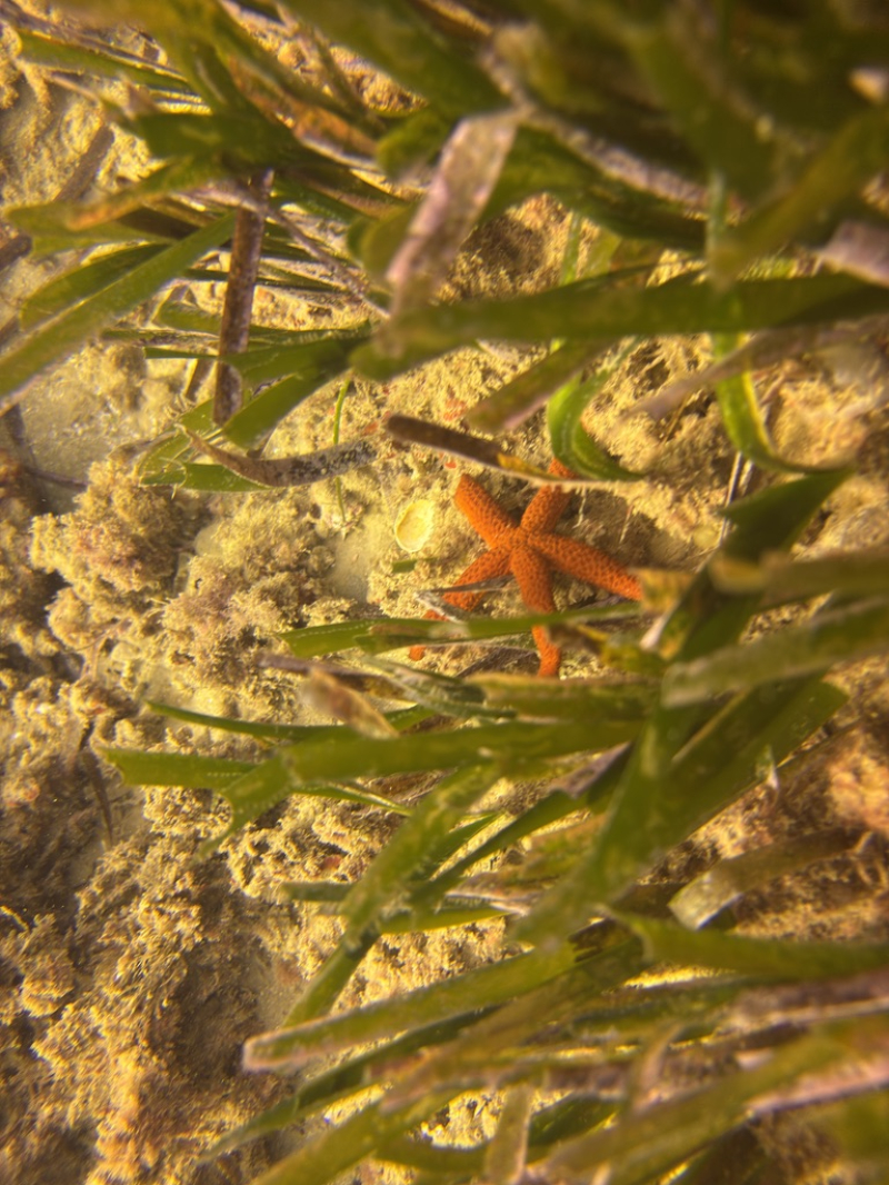 Sortida a Llavaneres