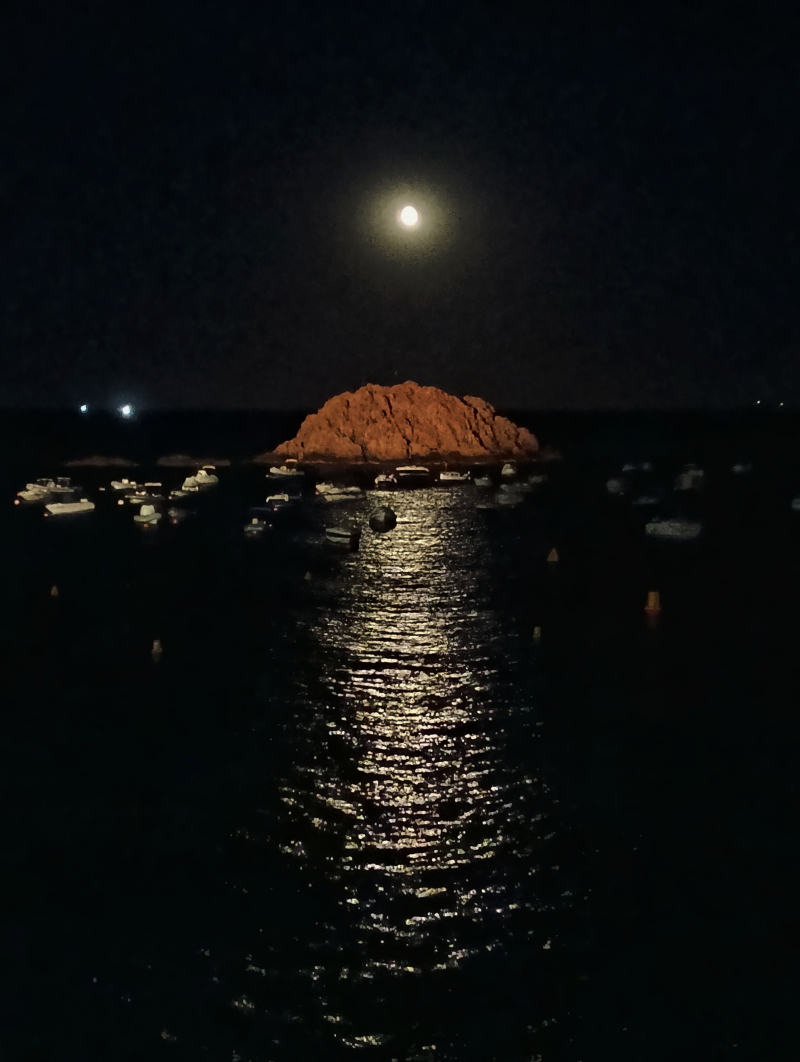 Sortida nocturna a Tossa de Mar