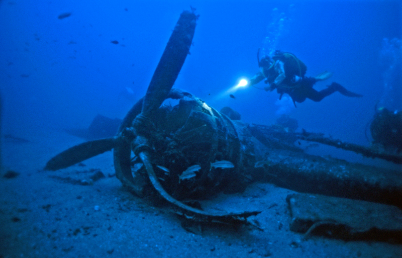 Ja soc bussejador. I ara què?
