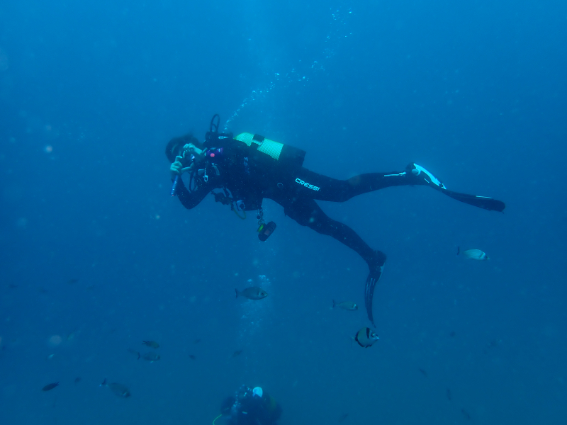 Doble immersió amb Posidònia Dive de Llavaneres