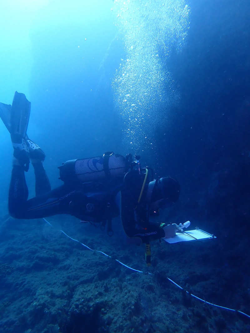 Busseig científic: quan explorar el mar es converteix en una aventura plena de dades.