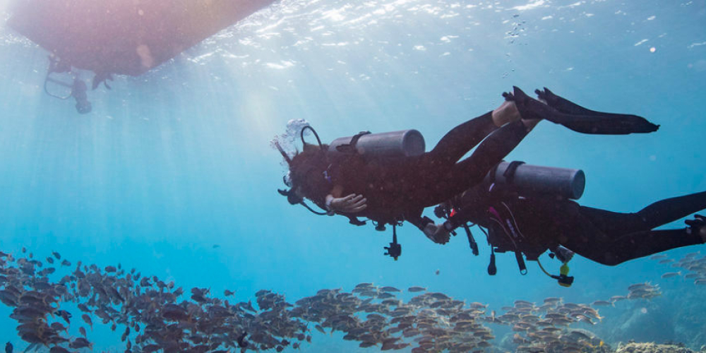 Curs de busseig 2 estrelles