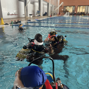 SETMANA DE LA DONA TREABALLADORA: Vols provar el Submarinisme? Submergeix-te amb nosaltres! 24