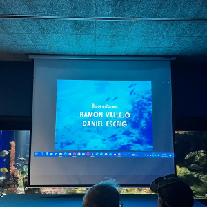 PROJECCIÓ A L'AQUÀRIUM DE IMATGES SUBMARINES 1