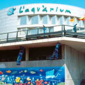 PROJECCIÓ A L'AQUÀRIUM DE IMATGES SUBMARINES 4