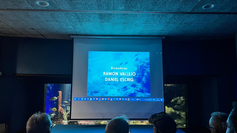 PROJECCIÓ A L'AQUÀRIUM DE IMATGES SUBMARINES